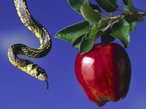 470_1212480019_470x353_apple-and-snake